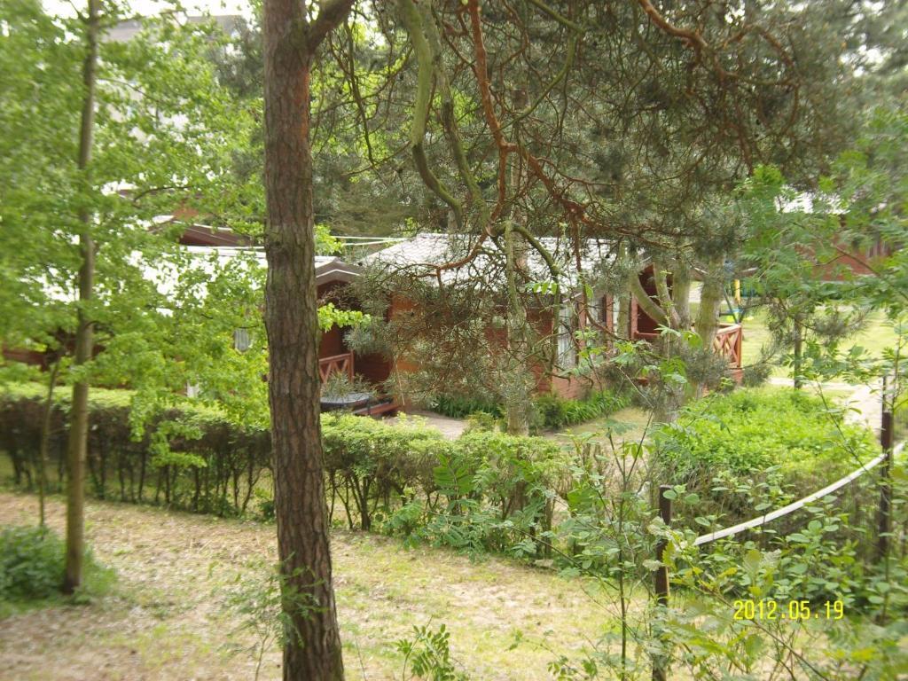 Osrodek Wypoczynkowy Amber Villa Kąty Rybackie Buitenkant foto