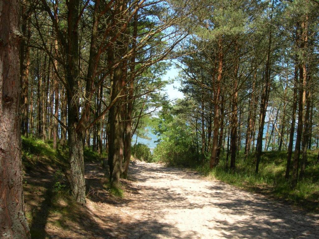 Osrodek Wypoczynkowy Amber Villa Kąty Rybackie Buitenkant foto