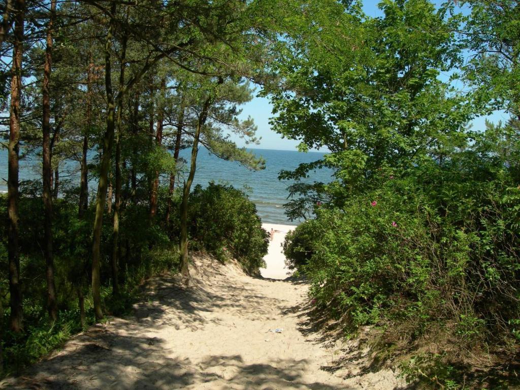 Osrodek Wypoczynkowy Amber Villa Kąty Rybackie Buitenkant foto