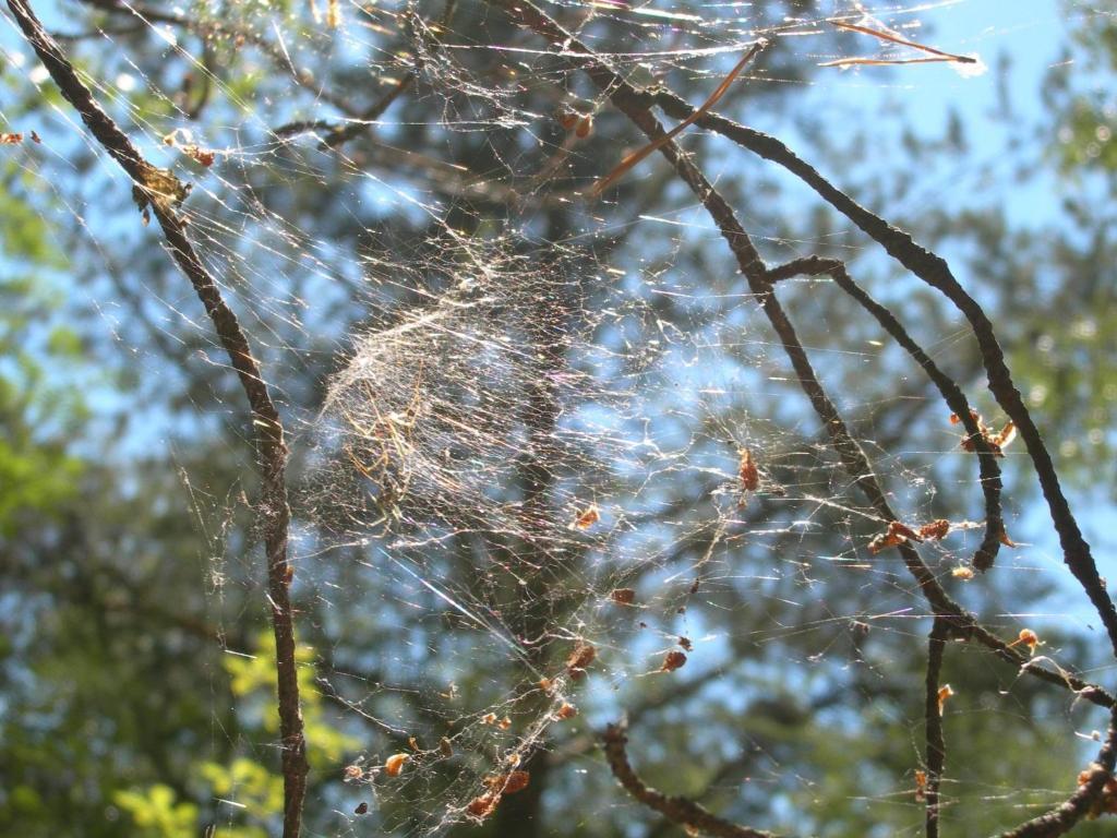 Osrodek Wypoczynkowy Amber Villa Kąty Rybackie Buitenkant foto